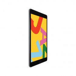 Apple iPad 25,9 cm (10.2") 32 GB Wi-Fi 5 (802.11ac) Grigio iPadOS