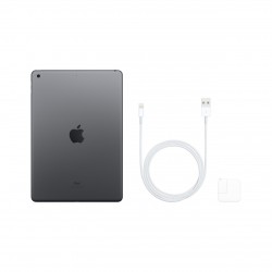 Apple iPad 25,9 cm (10.2") 32 GB Wi-Fi 5 (802.11ac) Grigio iPadOS