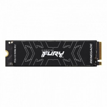 Kingston Technology FURY...