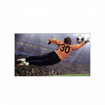 LG 49VL5G-M espositore...