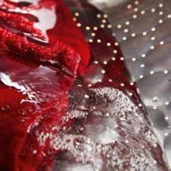 Miele WSA 033 LW ACTIVE - Lavatrice a Carica Frontale, 7 Kg, 1400 Giri, Classe B