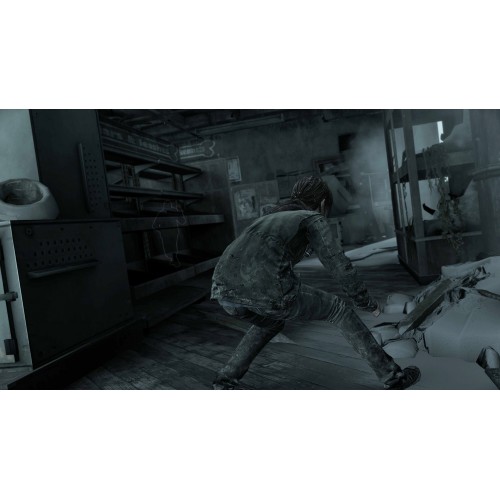 Sony The Last of Us Remastered (PS Hits)