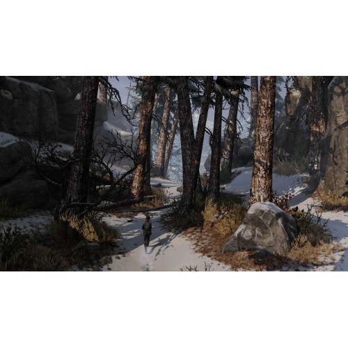 Sony The Last of Us Remastered (PS Hits)