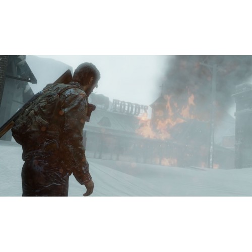 Sony The Last of Us Remastered (PS Hits)