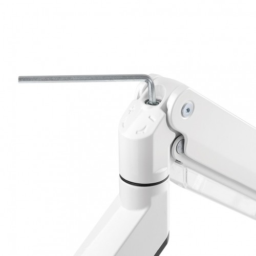 Newstar Supporto da scrivania per monitor
