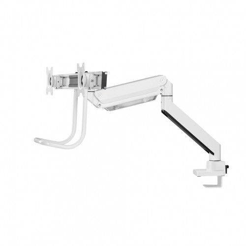 Newstar Supporto da scrivania per monitor