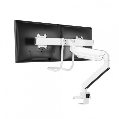 Newstar Supporto da scrivania per monitor