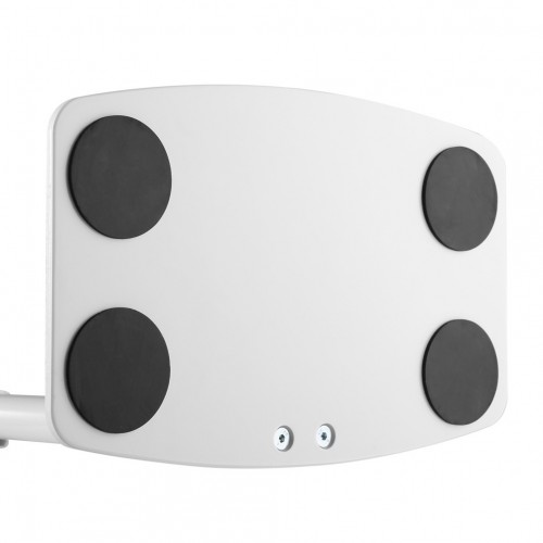 Newstar Supporto da scrivania per monitor