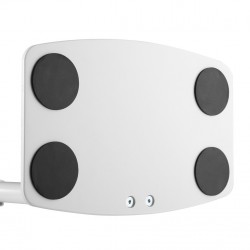 Newstar Supporto da scrivania per monitor