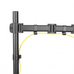 Newstar Supporto da scrivania per monitor