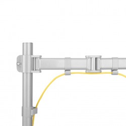 Newstar Supporto da scrivania per monitor