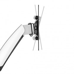 Newstar Supporto a parete per monitor/TV