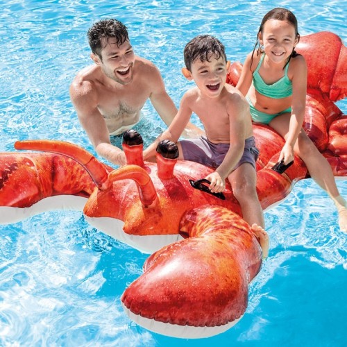 Intex 57533NP galleggiante da piscina e da...