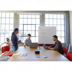 Weber Sonda Ambiente iGrill Pro, 1pz - Modello 7212