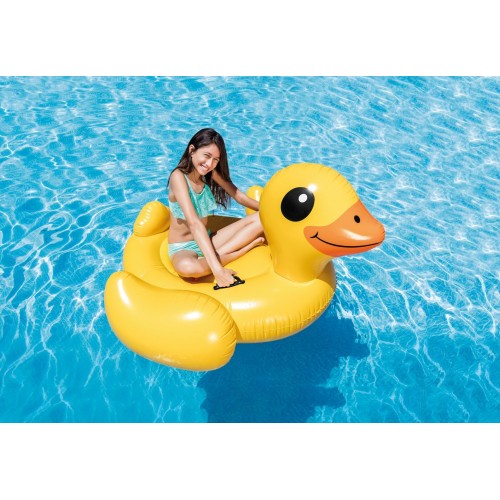 Intex 57556NP galleggiante da piscina e da...