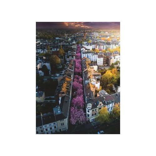 Ravensburger 17104 puzzle 1500 pz Landscape