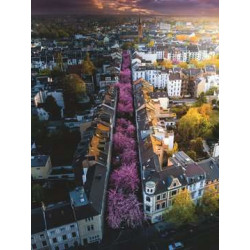 Ravensburger 17104 puzzle 1500 pz Landscape