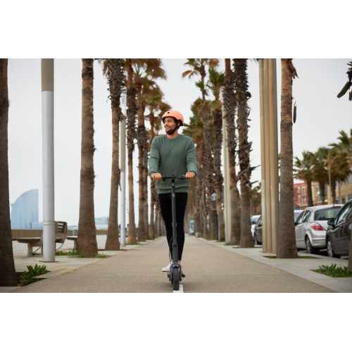 Ninebot by Segway MAX G30E II - Monopattino...