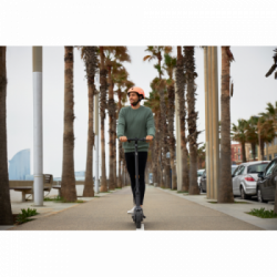 Ninebot by Segway MAX G30E II - Monopattino Elettrico, Velocità 25 Km/h, Autonomia 65 Km, Ruote 10", BMS System