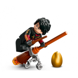 Lego Harry Potter 76406 - Ungaro Spinato