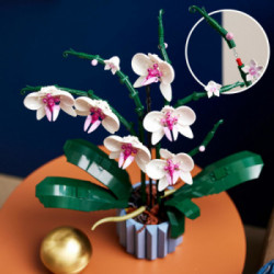 Lego Creator Expert 10311 - Orchidea 