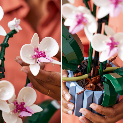 Lego Creator Expert 10311 - Orchidea 