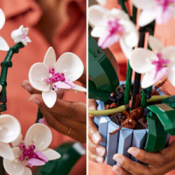 Lego Creator Expert 10311 - Orchidea 