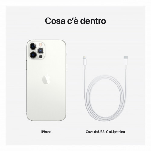 Apple iPhone 12 Pro 512GB Argento *ESTENSIONE...