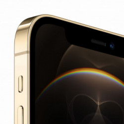 Apple iPhone 12 Pro 256GB Oro *ESTENSIONE GARANZIA3 3 ANNI IN PIU' in omaggio*