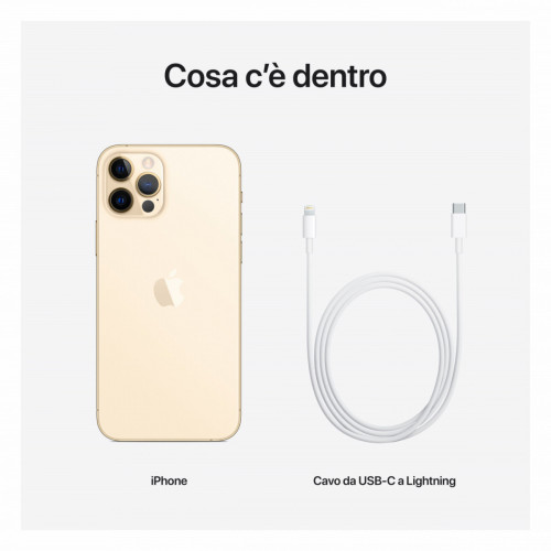 Apple iPhone 12 Pro 256GB Oro *ESTENSIONE...