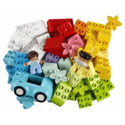 LEGO DUPLO Contenitore di mattoncini - 10913
