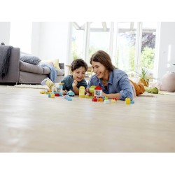 LEGO DUPLO Contenitore di mattoncini - 10913