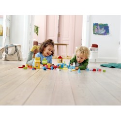 LEGO DUPLO Contenitore di mattoncini grande - 10914