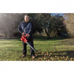 Einhell GC-EL 3000 E - Soffiatori / aspiratori per foglie elettrici