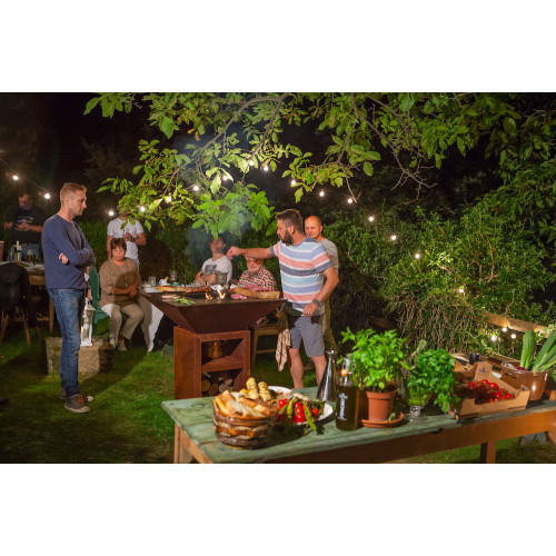 Vulcanus - Grill Pro910 Camp