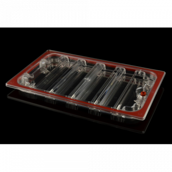 Gastronomia, Coperchio in...