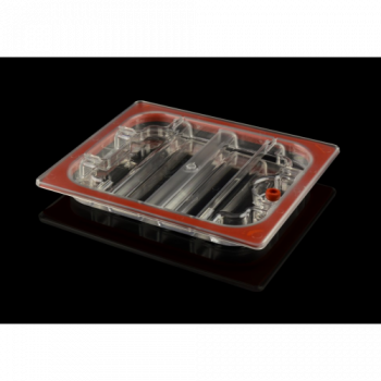 Gastronomia, Coperchio in...