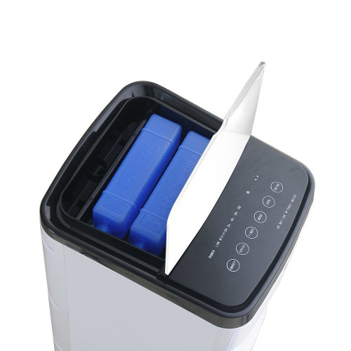 Ardes AR5R06D - Raffrescatore Evaporativo,...
