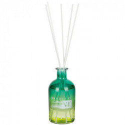 Villa D'Este Home Tivoli 'Home Fragrance', "Shades Of Greenery" Diffusore per ambienti in vetro 250 ml, Lime e Basil 