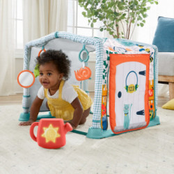 Fisher-Price HJK45 palestra per bambino e tappeto di gioco Multicolore Palestrina a tappeto per bambino