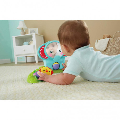 Fisher-Price BFR22 - Giostrina Cuccioli dela...