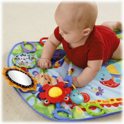 Fisher-Price Everything Baby BMH49 giocattolo musicale