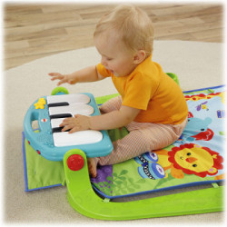 Fisher-Price Everything Baby BMH49 giocattolo musicale