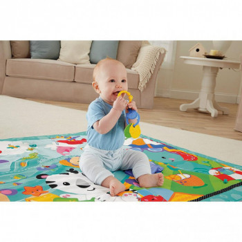 Fisher-Price CBJ65 -... 2