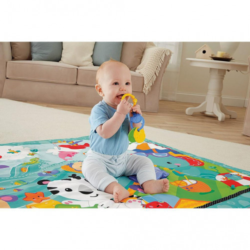 Fisher-Price CBJ65 - Tappetino Cuccioli della...