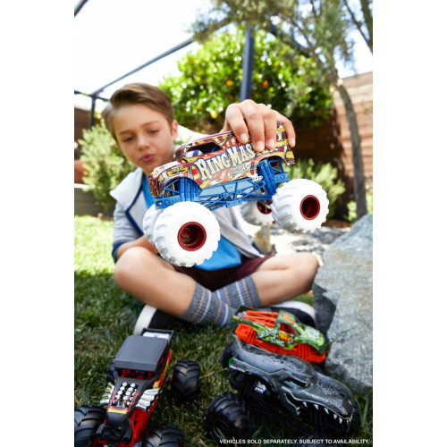 Hot Wheels Monster Trucks, Macchinina Scala...