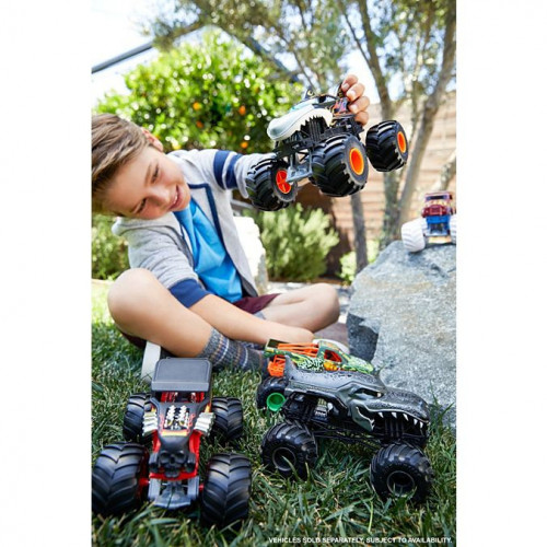Hot Wheels Monster Trucks, Macchinina Scala...