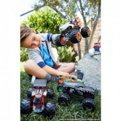 Hot Wheels Monster Trucks, Macchinina Scala 1:24, Assortimento/Modello Casuale, Giocattolo per Bambini 4 + anni, FYJ83)