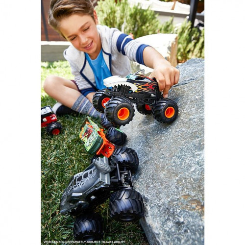 Hot Wheels Monster Trucks, Macchinina Scala...
