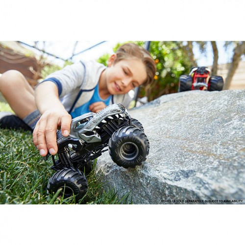 Hot Wheels Monster Trucks, Macchinina Scala...
